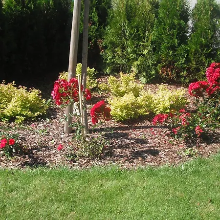 加尔尼维加雷泽旅馆