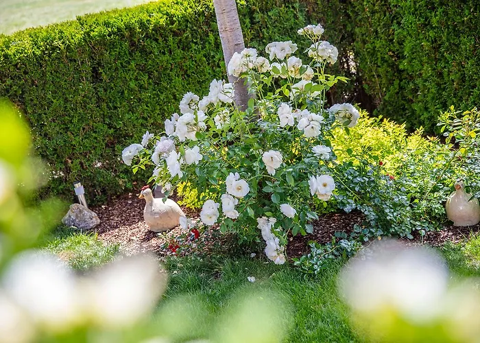 Garni Vierjahreszeiten